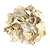 Cogumelo Maitake Desidratado. 500g. - Imagem 1