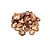 Chips de Cogumelo Shiitake Crocante. 500g - Imagem 1