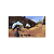 Jogo The Elder Scrolls Online: Morrowind - PS4 Seminovo - Imagem 4