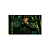 Jogo Metal Gear Solid HD Collection - Xbox 360 - Imagem 2