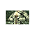 Jogo Metal Gear Solid HD Collection - Xbox 360 - Imagem 3