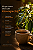Laurina 150g - Imagem 4