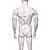Arreio Harness Masculino Em Elástico Branco Completo Peitoral - Imagem 3