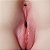 Masturbador Masculino - Formato Bunda com Vagina e Ânus - Lion IV - Imagem 4