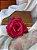 Rosa Marsala - Imagem 4