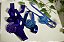 Choker e Testeira Cobalto - Imagem 4