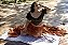 Cropped Princesa Musgo - Imagem 4