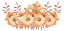 Estampas Digital -Modelo Floral para panos de prato- toalha banho-Etc - Imagem 16