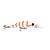 Isca Minimax 50 Cor: Wot - Marine Sports - Imagem 3