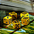 Filhos de Israel - Faith Battle - Jogo de Cartas Colecionáveis - Imagem 6