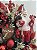 Guirlanda Noel Natal - Imagem 3