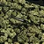 Boardshort Green Buds - Imagem 5