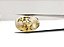 Quartzo Diverso Dendrita Oval - Imagem 2