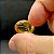 Citrino Oval Cabochão 18x14 - Imagem 5