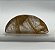 Quartzo Rutilo Dourado Cabochão Meia Lua 20,2x44,8mm - Imagem 7