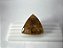Quartzo Rutilo Dourado Cabochão Trillion 31,6 mm - Imagem 1