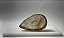 Quartzo Rutilo Dourado Cabochão Gota 25,3 x 42,9 mm - Imagem 2