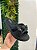 SANDÁLIA FEMININA FLAT ULTRA SOFT MODARE LAÇO - Imagem 4