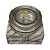 Polia Virabrequim Bravo T-jet 1.4 16V 55217836 68119587AA - Imagem 1