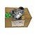 Motor Partida Arranque FIAT 500 12D 68073160AA M000T33871ZC - Imagem 3