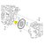 6 Parafusos Volante Flexplate Conv Tor S10 Trailblazer 12a25 - Imagem 2