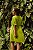 VESTIDO CURTO MG BAHAMAS - Imagem 3