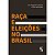 Raça e eleições no Brasil - Imagem 1