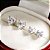 Brinco coração Moissanite 3.0ct Prata 925 Eternal - Imagem 4