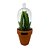 Vaso com Redoma Candelabra Cactus 22cm - Imagem 1