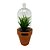 Vaso com Redoma Yucca Suculenta 22cm - Imagem 1