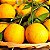 Laranja Seleta - Imagem 2