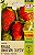 Morango Ornamental Silvestre - Imagem 1