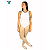 Collant Leti - Imagem 5