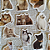 Caixinha de Adesivos Gatinhos  45pçs - Imagem 4