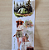 PET Tape Travel Plan - Imagem 12