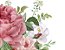 Adesivo de Parede Flores Aquarela - Peonias e Rosas - Imagem 3