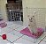 CERCADO PARA CACHORRO DE PEQUENO MÉDIO PORTE (06 TELAS) - Imagem 2