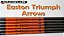 Flechas Triumph spine 400 usadas - Imagem 1