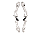 Arco Recurvo  KINETIC V2 - Imagem 1