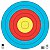 Alvo Oficial World Archery Avalon - Outdoor 80cm - Imagem 1