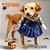 REF.240 - FANTASIA TIFANY - Imagem 1