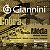 Encordoamento Giannini Cobra para Viola 10 Cordas GESVNM Tensão Média 011 - Imagem 1
