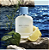 KIT DOLCE & GABBANA LIGHT BLUE MASCULINO EAU DE TOILETTE - Imagem 2