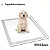 Tapete Higiênico Tapetudo Para Cães 55×60cm 7 Unidades - Imagem 2