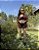 Conjunto Manu - Imagem 10