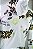 CONJUNTO MOLETOM LINHA EXQUISITE - Imagem 6
