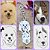 Chaveiro de Prata com 2 Pets Eternizados pela foto - Imagem 1