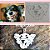 Colar de Prata 1 Pet Personalizado através da Foto - Imagem 9