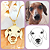 Colar Carinha do seu Pet Banhado a Ouro - Imagem 2