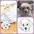Colar de Prata 1 Pet Personalizado + Nome - Imagem 2